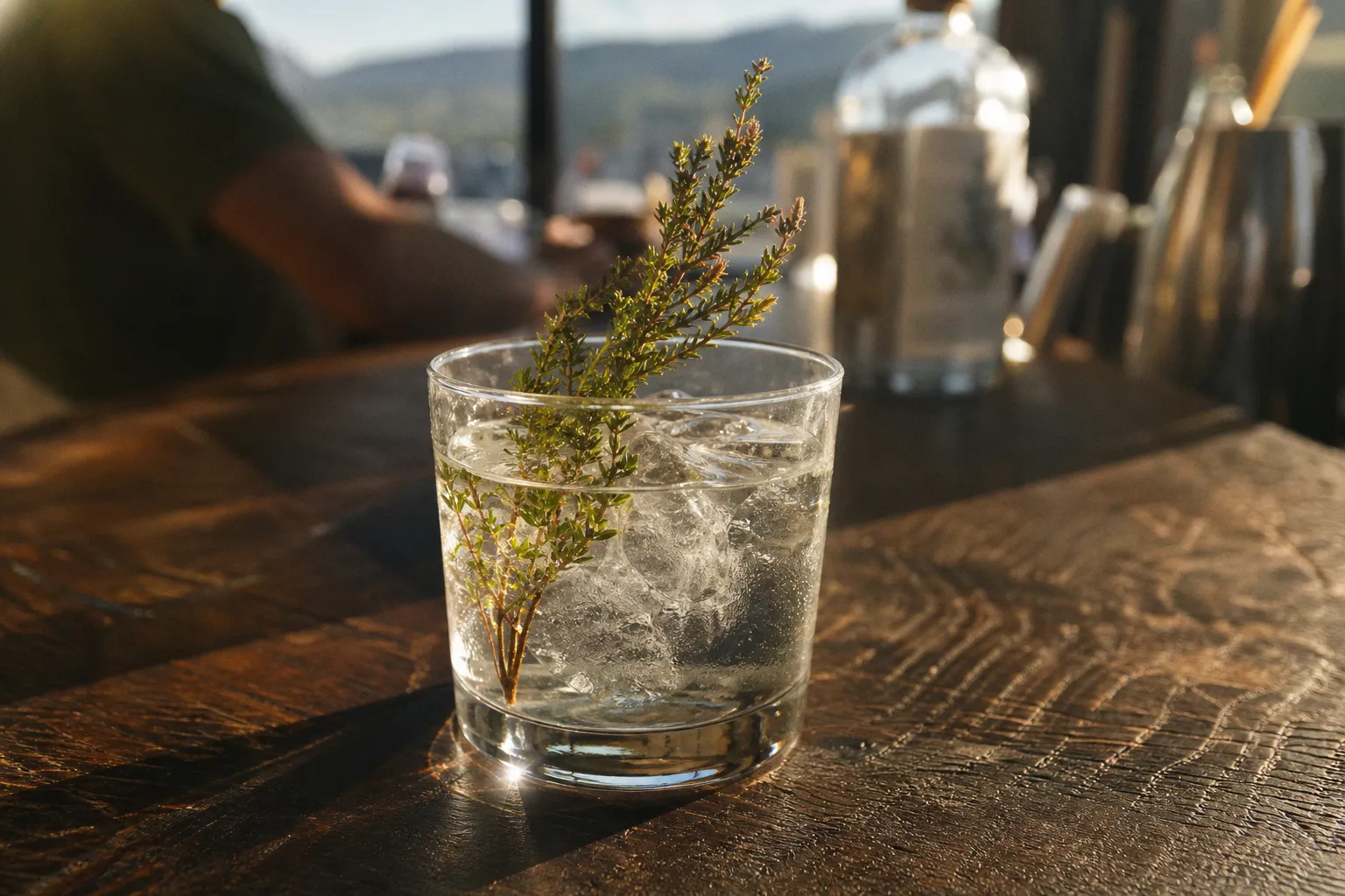 5 secrets du gin sud-africain aux plantes du Fynbos